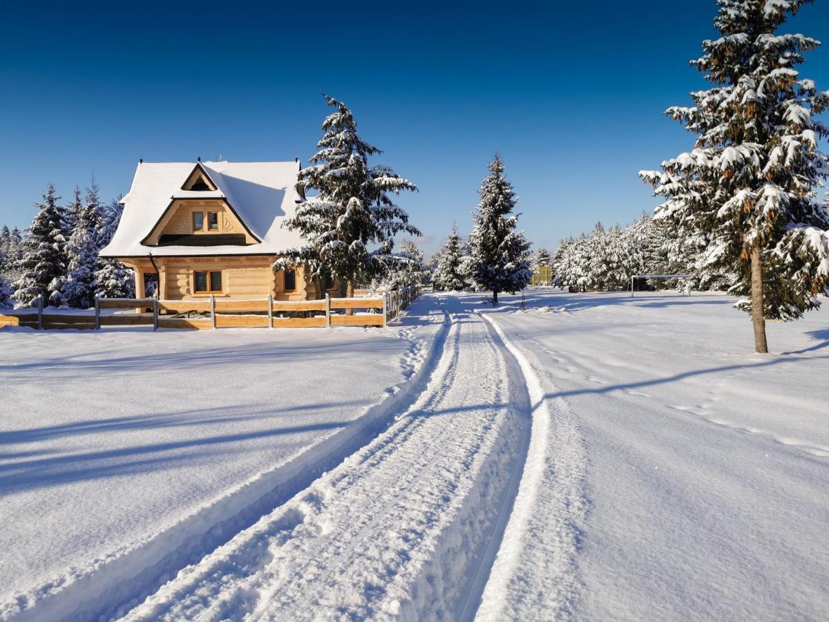 Baligowka Aurelia I Maximus Zakopane