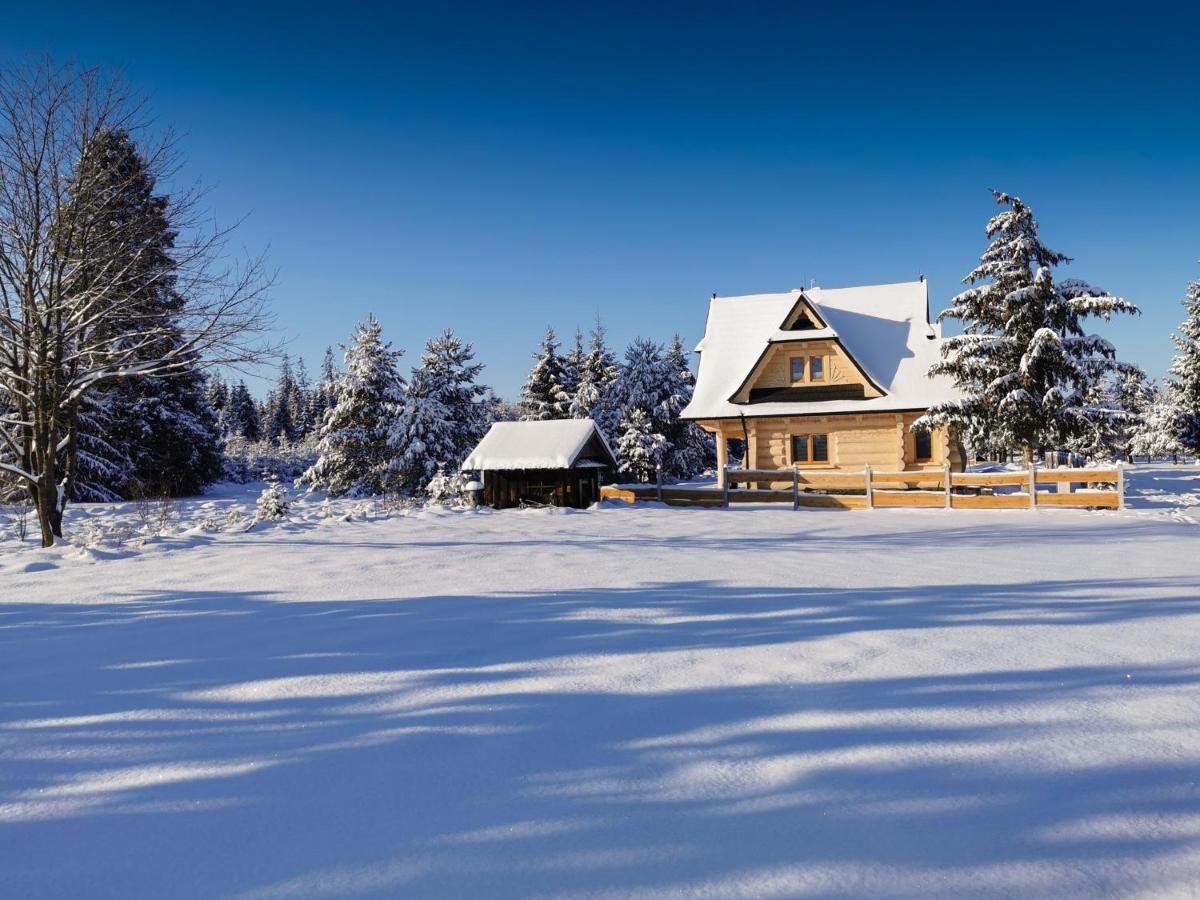 Baligowka Aurelia I Maximus Zakopane